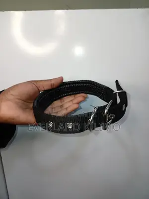 Padded Collar - Adjustable