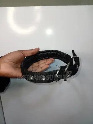 Padded Collar - Adjustable