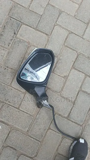 Alphard Side Mirror