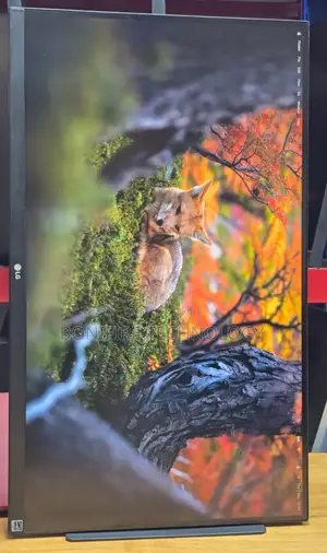 Lg 27inch Monitor 
Model: 27bk85u-W
Size 27" Inch