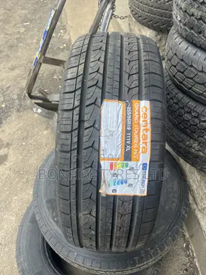 255/55r19 Centara