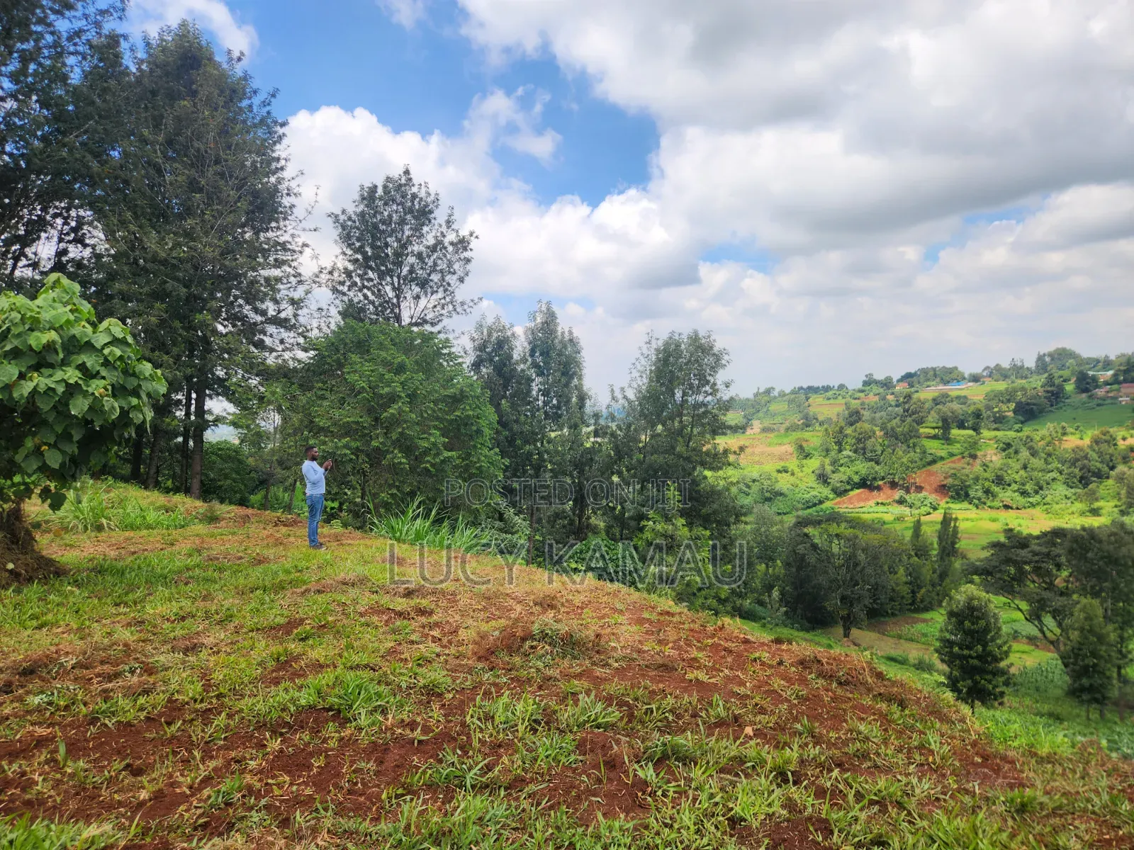 14 Acre Prime Land for Sale in Redhill