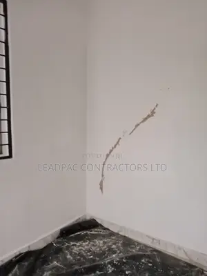 Dampness Wall Repair