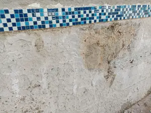 Dampness Wall Repair