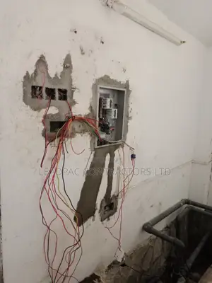 Dampness Wall Repair