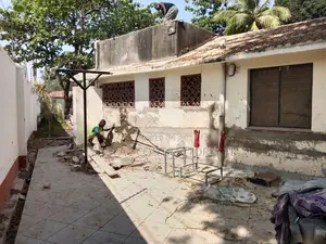 Dampness Wall Repair