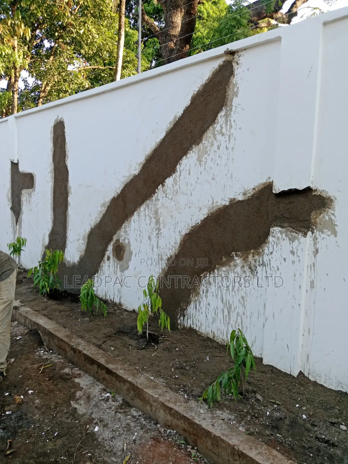 Dampness Wall Repair