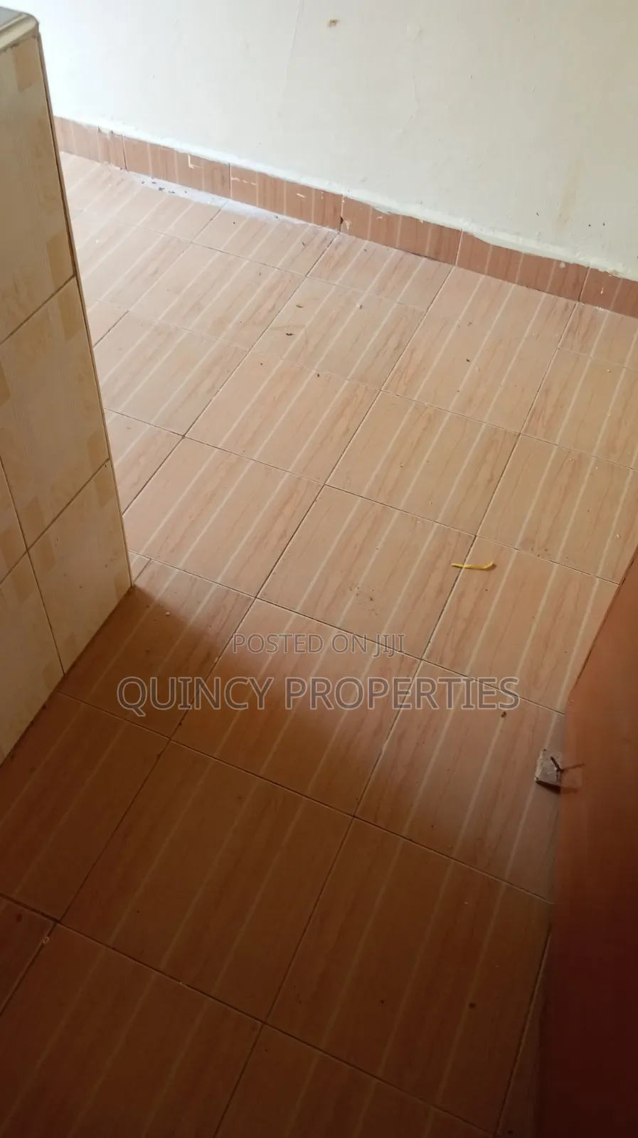 2bdrm Apartment in Ruaka for rent