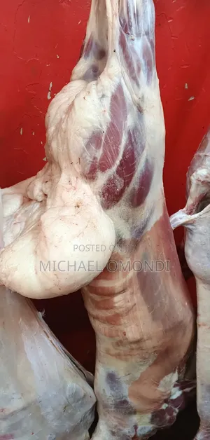11kgs Full Lamb/Mutton(Liver Kidneys) - 7480