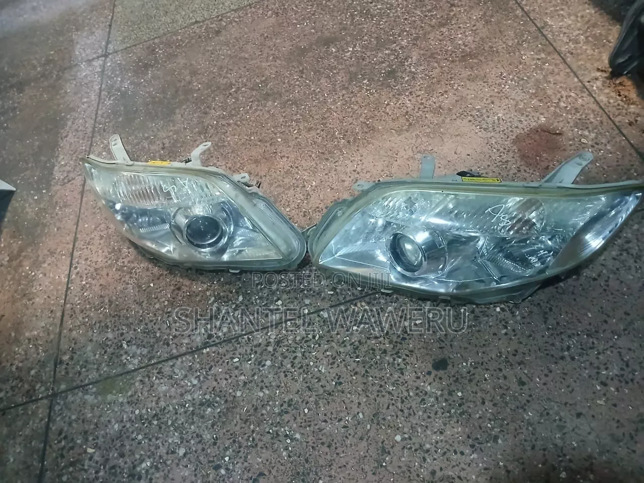 Fielder 2010 Headlights Xenon
