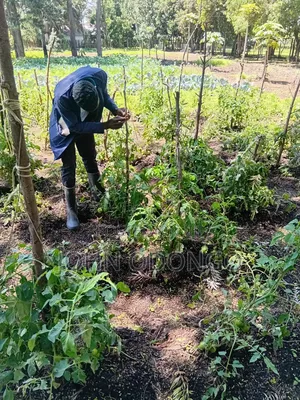 Crop Officer/Crop Expert