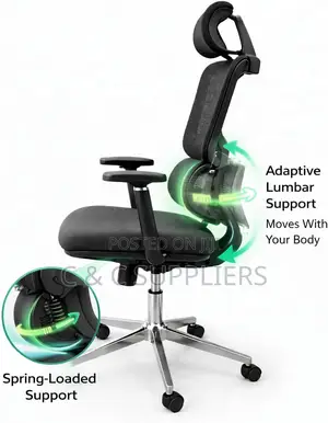 Height Adjustable High Back Mesh Computer Chair With Lumbar Support
