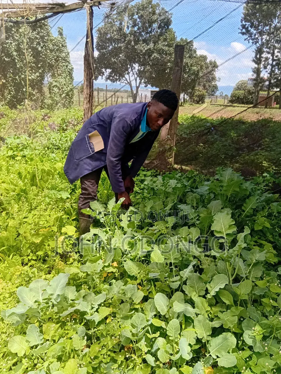 Crop Officer/Crop Expert
