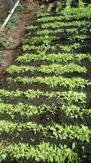 Crop Officer/Crop Expert