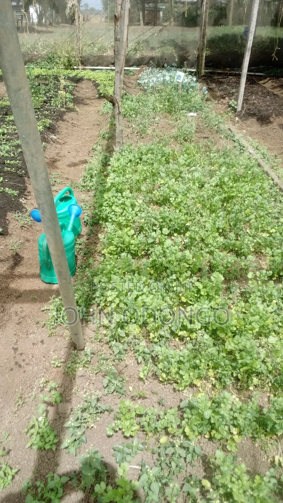 Crop Officer/Crop Expert
