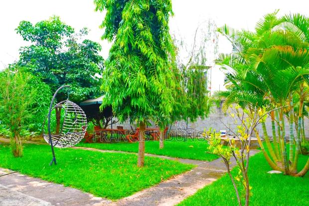 8bdrm Maisonette in Mugutha, Kimbo for sale - thumbnail 3