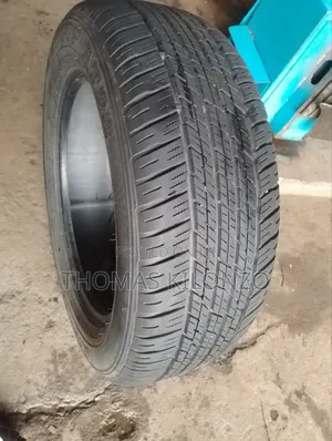 265/55r19 Dunlop Ex Japan Tyres