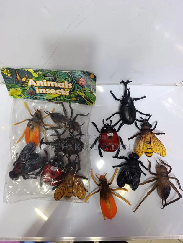 Animal Insects - main view