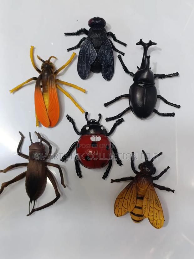 Animal Insects - thumbnail 2
