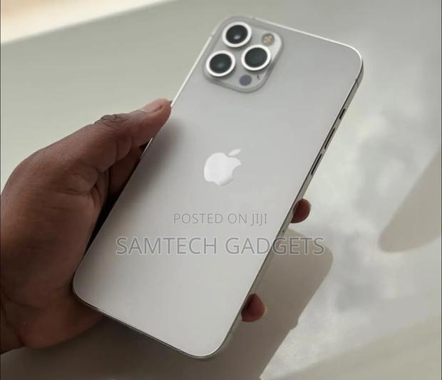 Apple iPhone 12 Pro Max 256 GB Silver - thumbnail 2