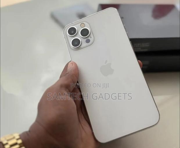 Apple iPhone 12 Pro Max 256 GB Silver - thumbnail 3