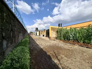 3bdrm Bungalow in Thogoto for rent