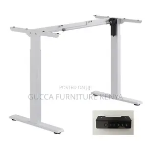 Ergonomic Electric Si Stand Gaming Desk-120cm
