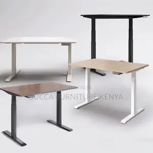 Ergonomic Electric Si Stand Gaming Desk-120cm