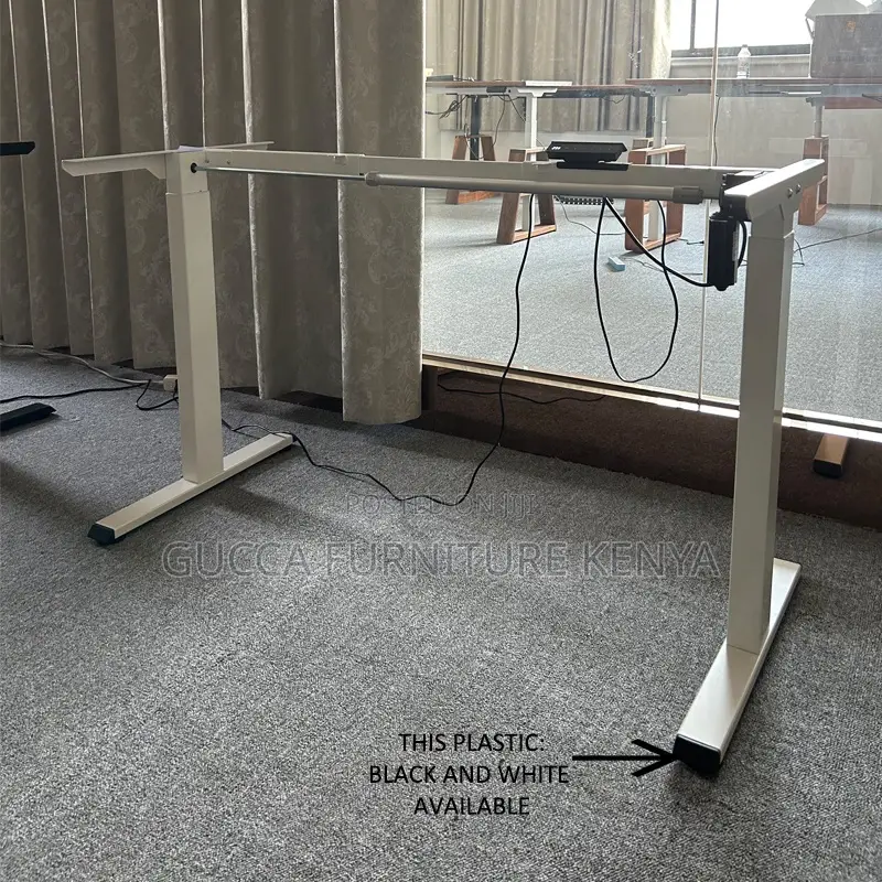 Ergonomic Electric Si Stand Gaming Desk-120cm