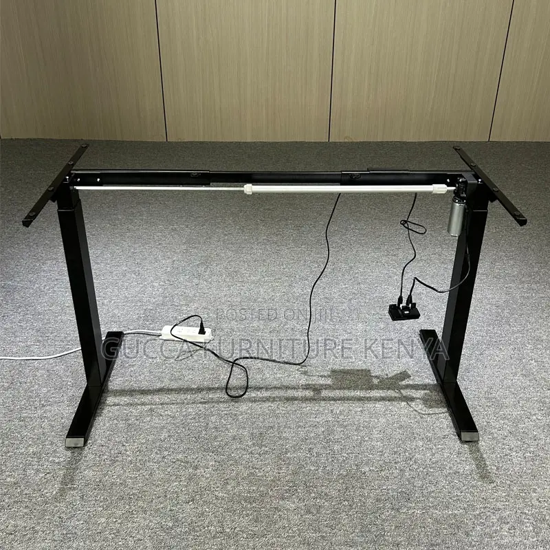 Ergonomic Electric Si Stand Gaming Desk-120cm