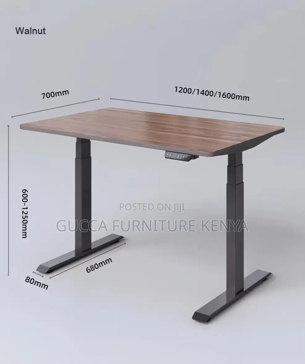 Ergonomic Electric Si Stand Gaming Desk-120cm