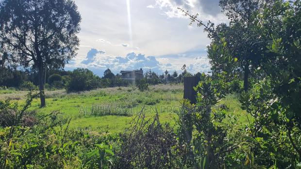 Quick Sale 1 Acrea Near Mt Kenya