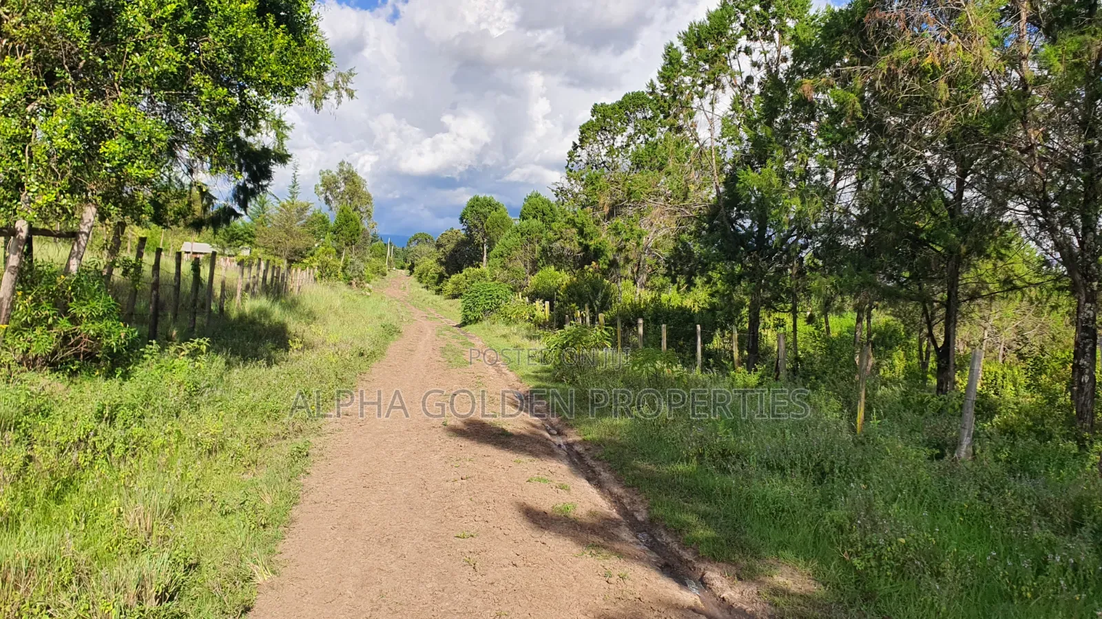 Quick Sale 1 Acrea Near Mt Kenya