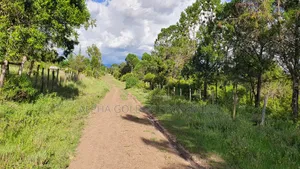 Quick Sale 1 Acrea Near Mt Kenya