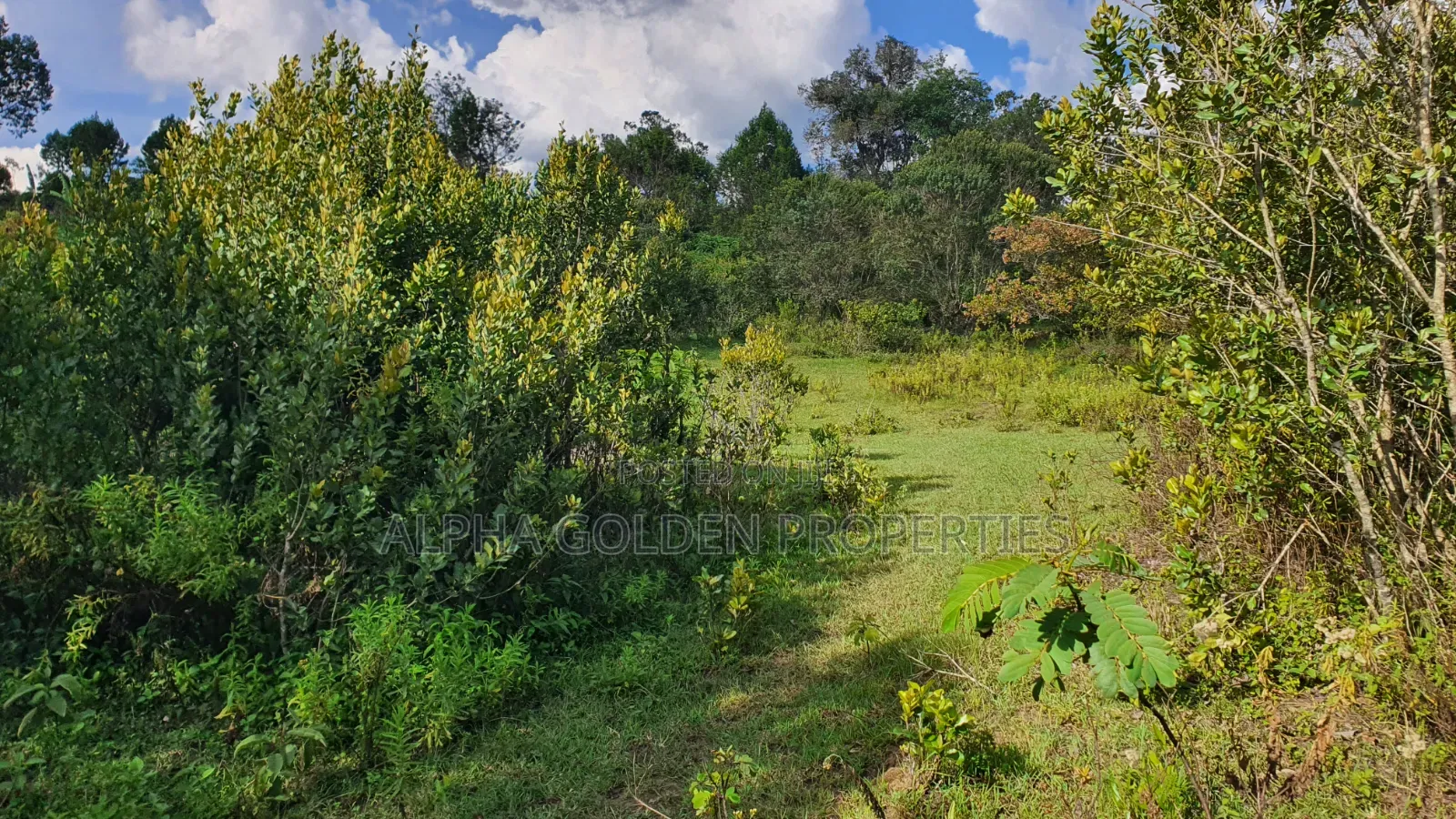 Quick Sale 1 Acrea Near Mt Kenya