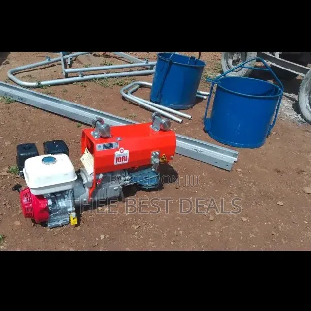 Iori 1000kgs Hoist (Crene)