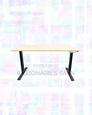 Modernize Your Office -Standing Desk Executive Sit-Stand Comfort