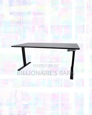 Modernize Your Office -Standing Desk Executive Sit-Stand Comfort
