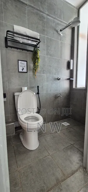 Clean Furnished Studio Apartment Thindigua