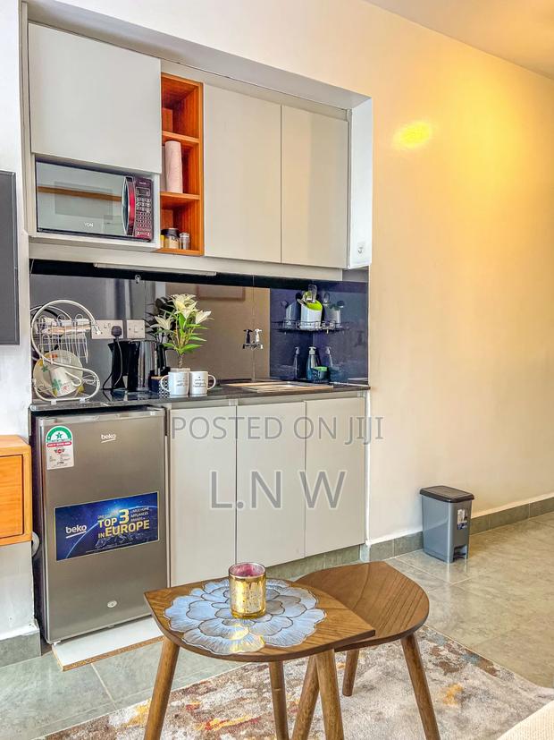Clean Furnished Studio Apartment Thindigua - thumbnail 6