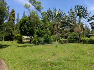 Prime 1 Acre Property for Sale – Kiboswa