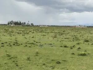 2 Acres for Sale in Endana Shopping Centre, Nanyuki