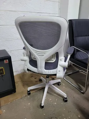 Ergonomic Office Chair With Grey Mesh Back