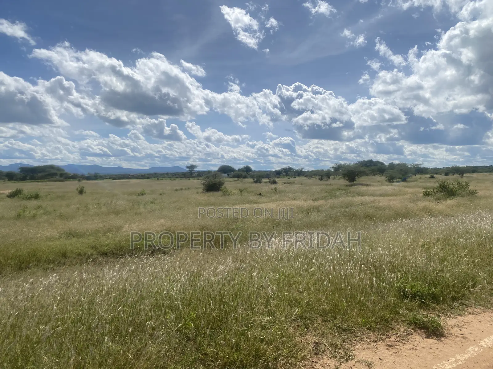 Land for Sale,Mashuru