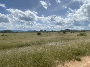 Land for Sale,Mashuru