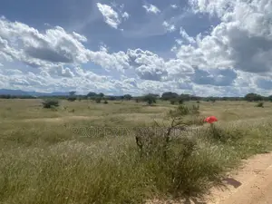 Land for Sale,Mashuru