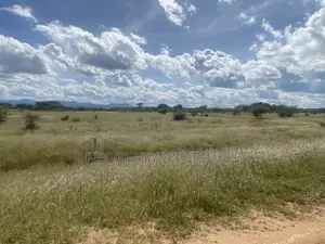 Land for Sale,Mashuru