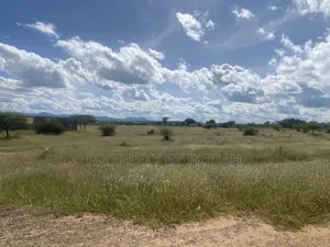 Land for Sale,Mashuru