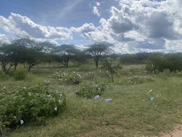 Acres for Sale in Mashuru Kajiado County - thumbnail 2