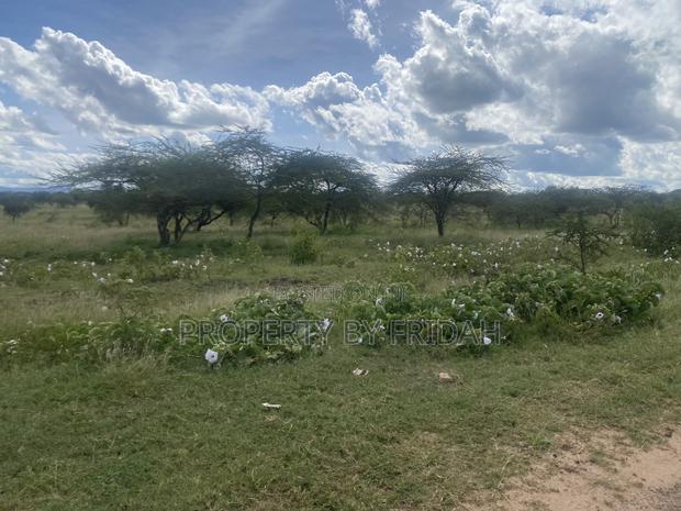 Acres for Sale in Mashuru Kajiado County